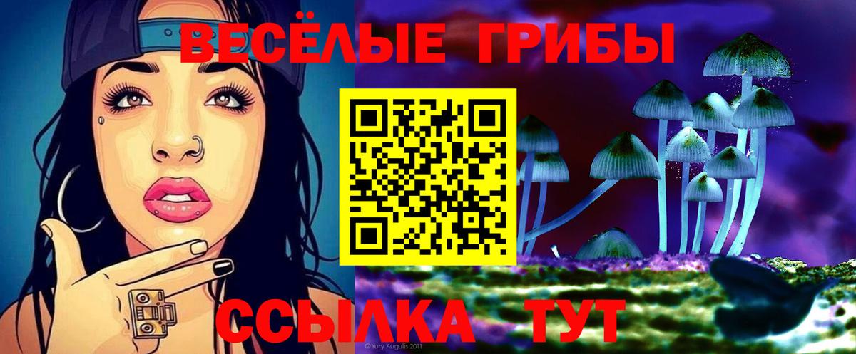 Псилоцибиновые грибы мицелий  Вход с VPN  купить наркоту  Москва 